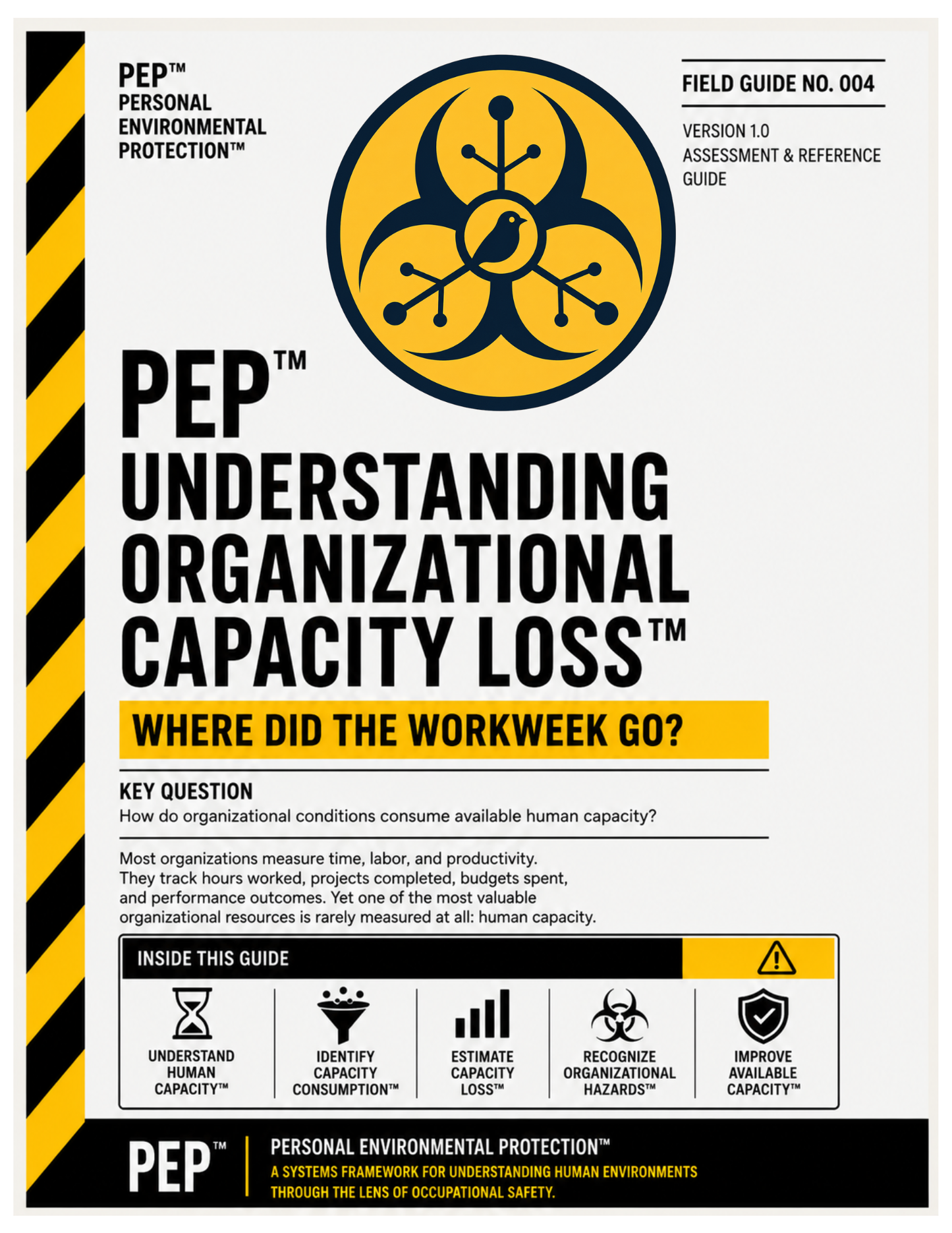 Understanding Organizational Capacity Loss™